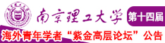 免费插逼视屏南京理工大学第十四届海外青年学者紫金论坛诚邀海内外英才！